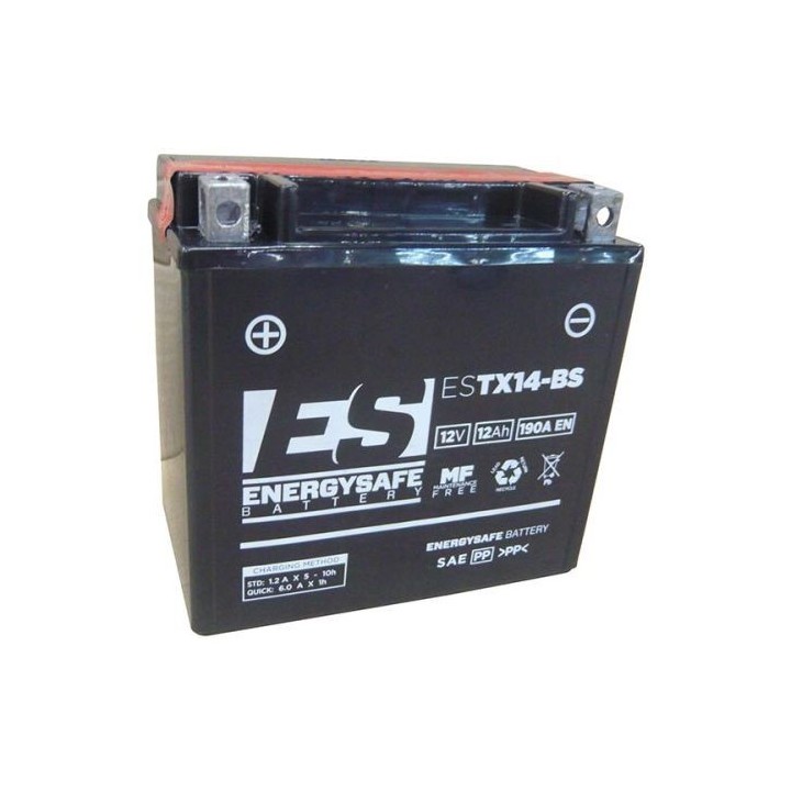 Batería Energy Safe ESTX14-BS 12V/12AH