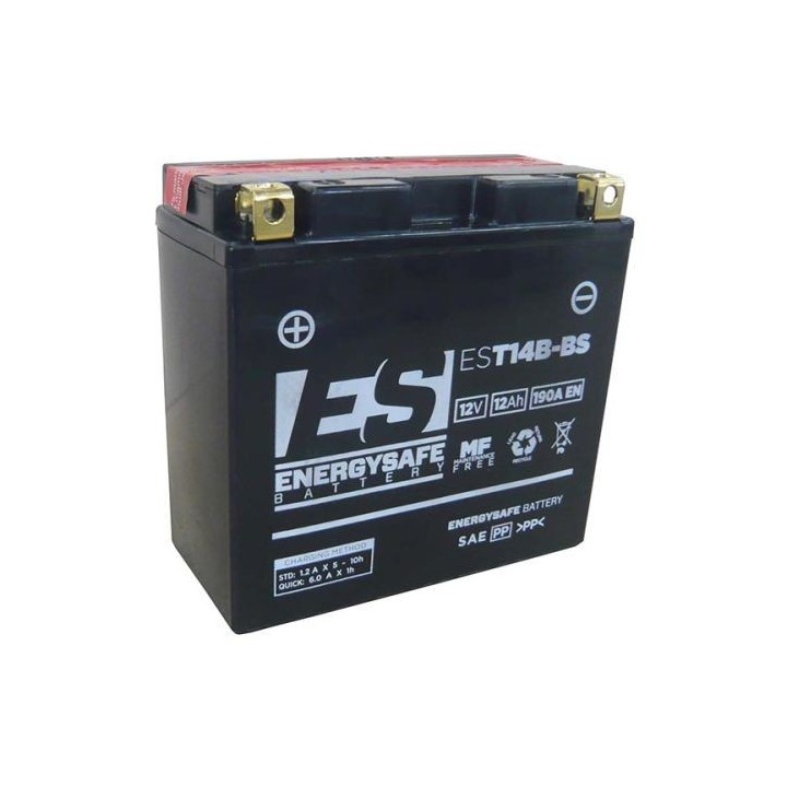 Batería Energy Safe EST14B-BS 12V/12AH