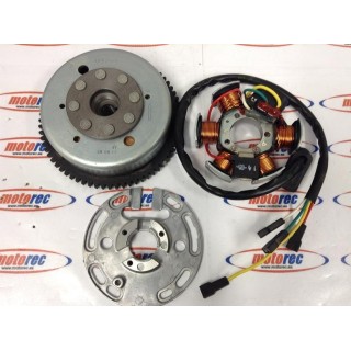 stator derbi gpr aprilia rs 