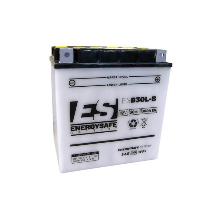 Batería Energy Safe ESB30L-B 12V/30AH