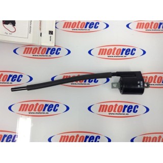 bobina aprilia yamaha rieju derbi mbk ktm peugeot