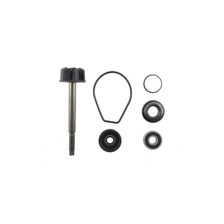 kit bomba agua majesty 400
