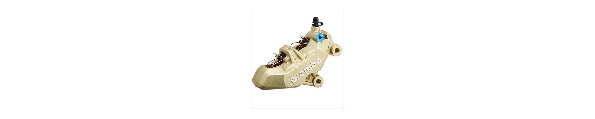 pinza freno moto