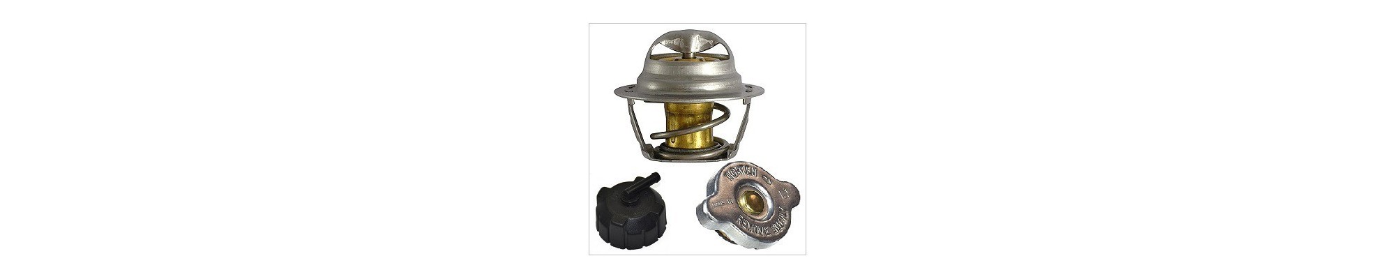 termostato,tapon,termocontacto,radiador,electroventilador,bomba agua