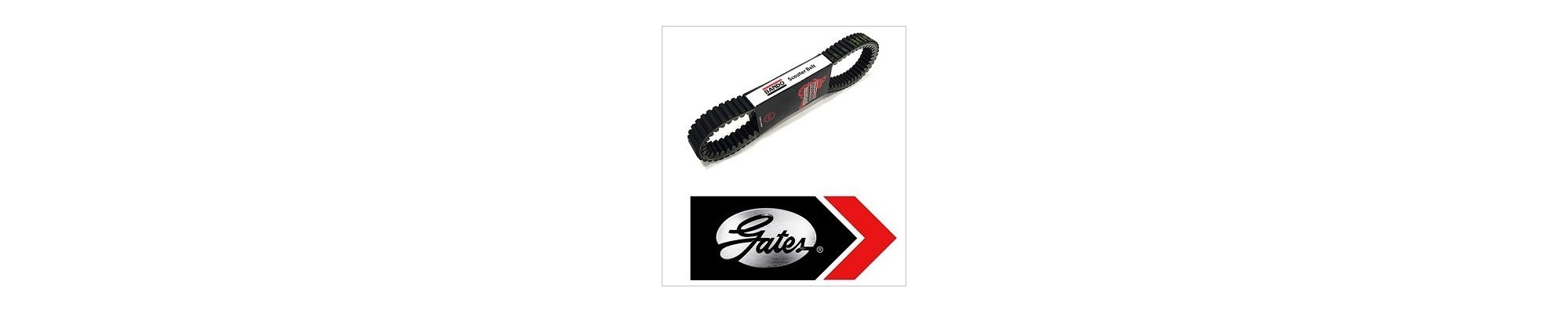 correas transmision,honda,yamaha,suzuki,piaggio,aprilia,gilera,kymco