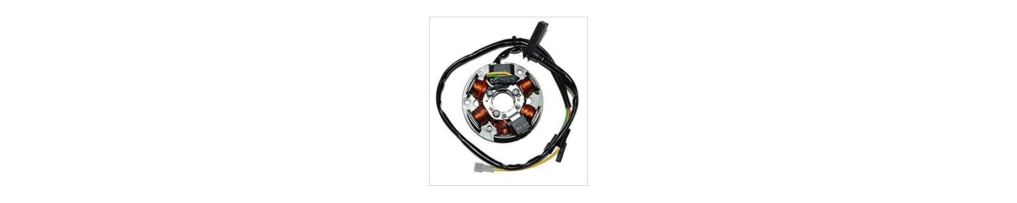 stator, volante magnetico, ciclomotor, scooter,piaggio,derbi,rieju,