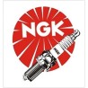 BUJIAS NGK