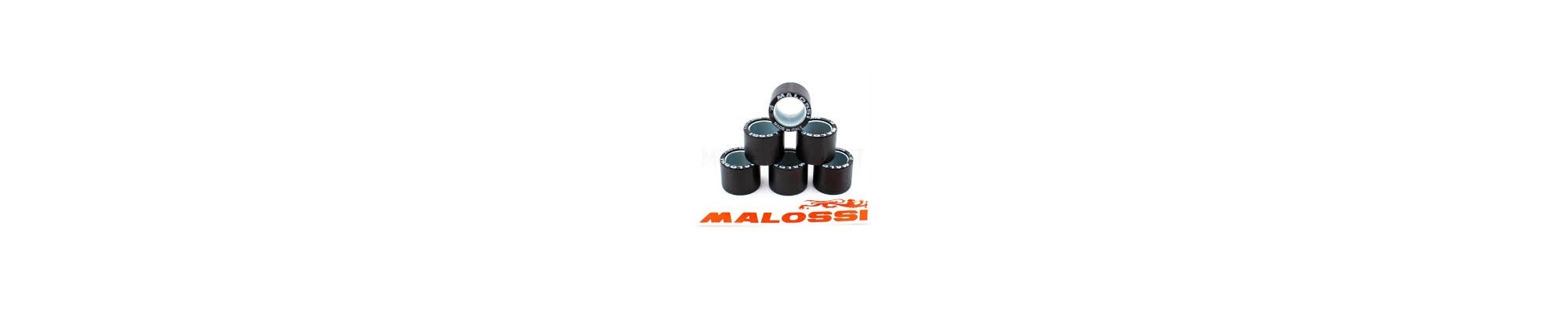 Rodillos Variador Malossi economicos
