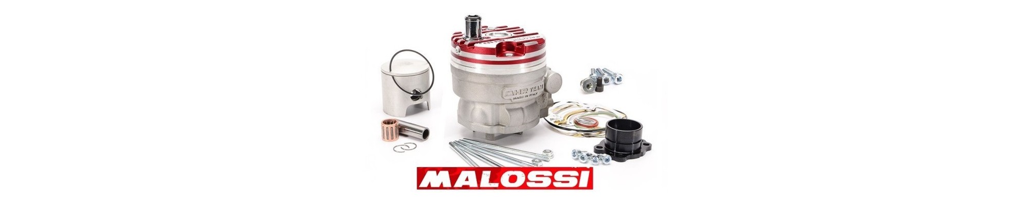 cilindro malossi moto